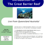 The Great Barrier Reef – Up Close and Personal