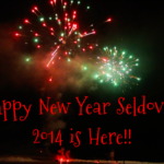 Happy New Year Seldovia!