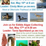 Saturday the 10th Bird Walk and on the 17th Algae Collecting!