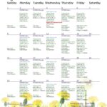 SVT Calendar for June