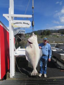 Dale and 180 pound halibut